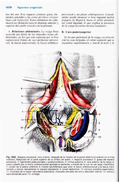 Latarjet &amp; Ruiz Liard - Anatomia Humana Tomo II