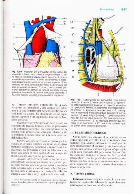 Latarjet &amp; Ruiz Liard - Anatomia Humana Tomo II