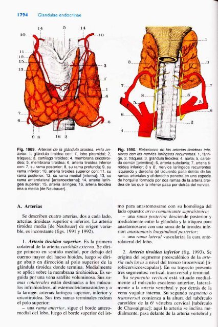 Latarjet &amp; Ruiz Liard - Anatomia Humana Tomo II