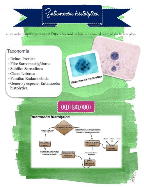 ATLAS EL MUNDO INTESTINAL