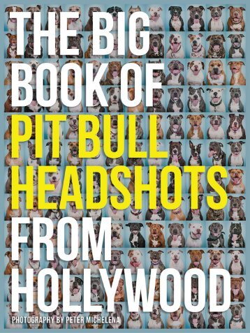 The Big Book of Pit Bull Headshots from Hollywood