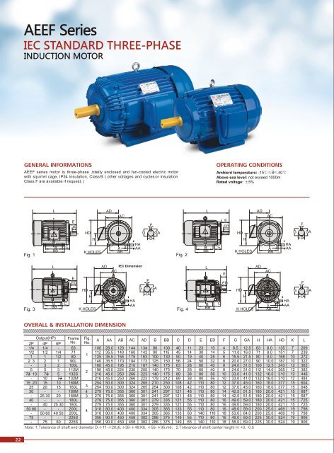 AEEF-series-electric-motor