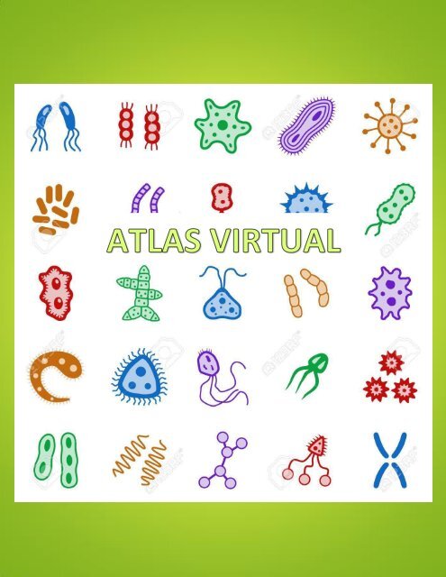 parásito de giardia duodenal no se encuentra comúnmente