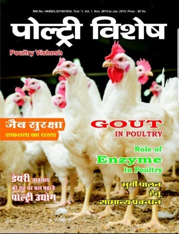 poultry vishesh