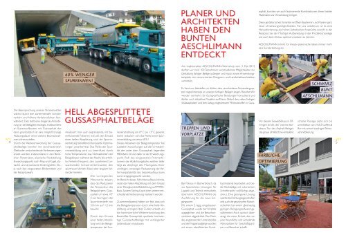 AeschliMag 11_2012