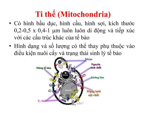 BÀI GIẢNG SINH HỌC VI SINH - BIỆN THỊ LAN THANH - TRƯỜNG ĐẠI HỌC NÔNG LÂM TP. HCM