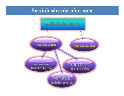 BÀI GIẢNG SINH HỌC VI SINH - BIỆN THỊ LAN THANH - TRƯỜNG ĐẠI HỌC NÔNG LÂM TP. HCM