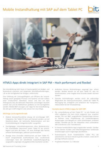 HTML5-Apps direkt Integriert in SAP PM – Hoch performant und flexibel