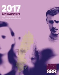 SBRårsrapport2017