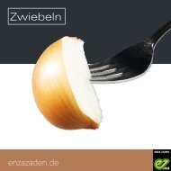 Leaflet Zwiebeln 2018