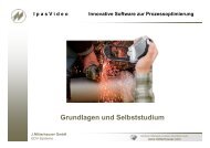I pas V ideo Zyklische Zeitanalyse - Johann Mitterhauser GmbH