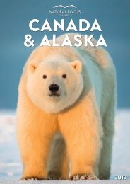 Natural Focus - Canada & Alaska Brochure