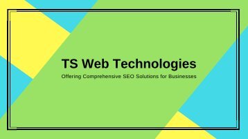 TS Web Technologies - Offering Comprehensive SEO Solutions for Businesses