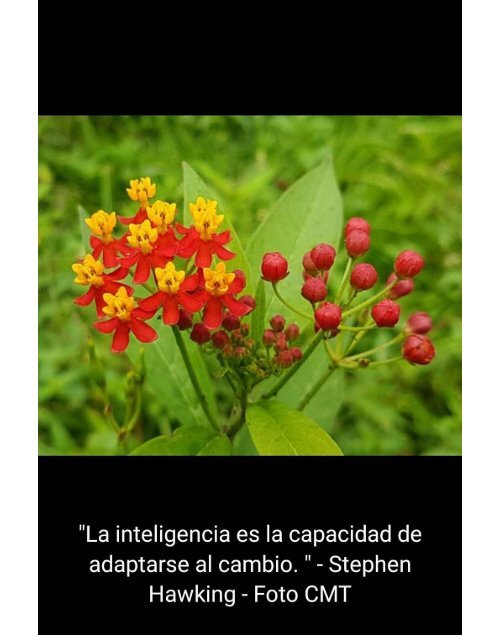 Mindfulness - Imagenes y reflexiones - Nicaragua