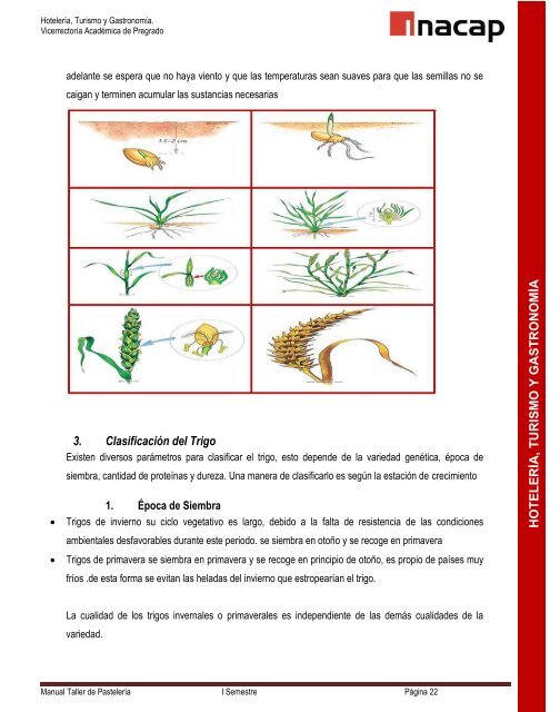 Taller de Técnicas Básicas de Pastelería (1)