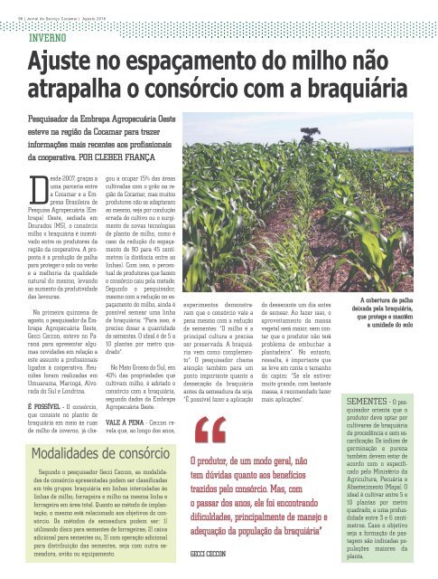 Jornal Cocamar Agosto 2016