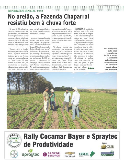 Jornal Cocamar Novembro 2016