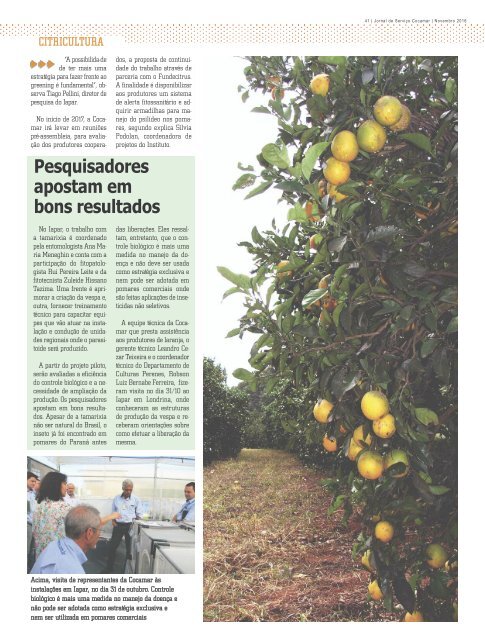 Jornal Cocamar Novembro 2016