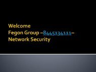 Fegon Group - 8445134111 - Network Security Solutions