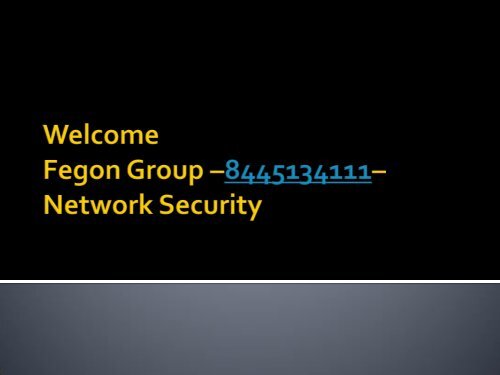 Fegon Group - 8445134111 - Network Security Solutions