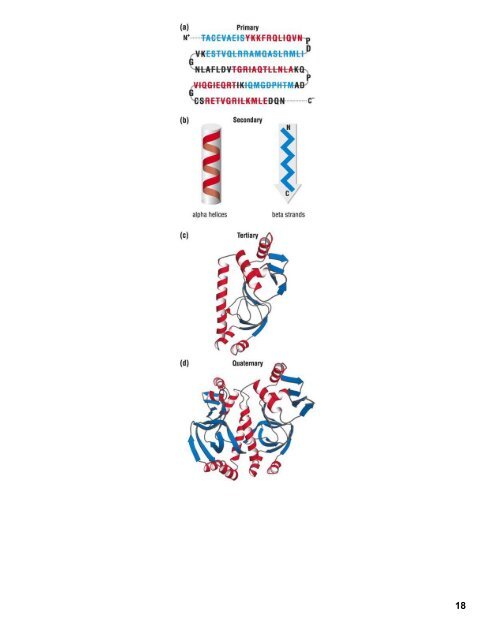 [ Cooperation Project ] Cấu trúc và chức năng Protein - Tổng quan hóa sinh dược I - Tiến sĩ Patrick M. Woster (Vietsub).Part1