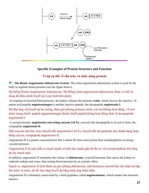 [ Cooperation Project ] Cấu trúc và chức năng Protein - Tổng quan hóa sinh dược I - Tiến sĩ Patrick M. Woster (Vietsub).Part1