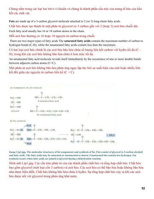 [ Cooperation Project ] Cấu trúc và chức năng Protein - Tổng quan hóa sinh dược I - Tiến sĩ Patrick M. Woster (Vietsub).Part1