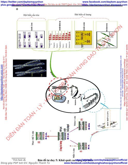 Tóm tắt kiến thức trọng tâm Sinh 12 thi THPTQG 2019, đầy đủ, ngắn gọn, chất lượng