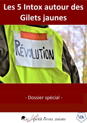 Les-5-intox-sur-les-gilets-jaunes-SD