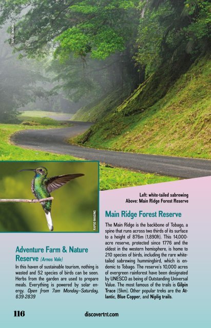 Discover Trinidad & Tobago Travel Guide 2019 (issue #30)