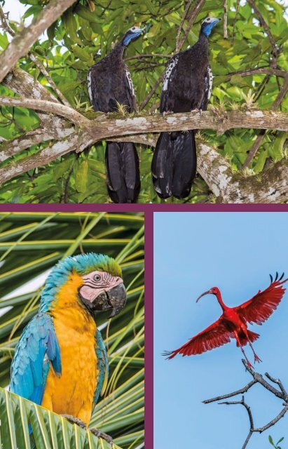 Discover Trinidad & Tobago Travel Guide 2019 (issue #30)