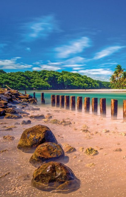 Discover Trinidad & Tobago Travel Guide 2019 (issue #30)