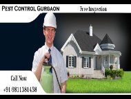 Pest Control Gurgaon Dial +91-9811381458-converted