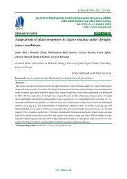 Evaluation Of Drought Stress On Relative Water Content Chlorophyll