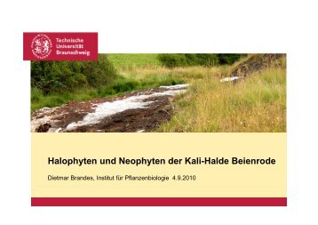Halophyten und Neophyten der Kali-Halde Beienrode