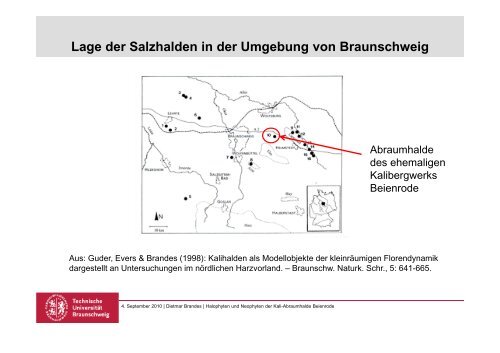 Halophyten und Neophyten der Kali-Halde Beienrode