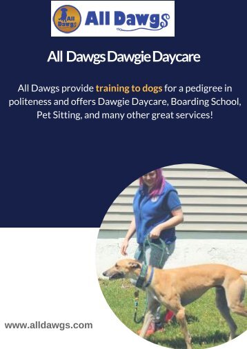 Dawgie Daycare Services In Albany – All Dawgs