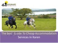 The best  Guide To Cheap Accommodation Services In Karen-converted
