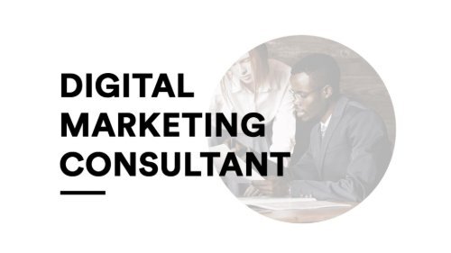 The Digital Marketing Consultant USA 