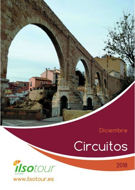 Circuitos Puente de Diciembre 2018