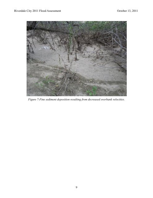 Weber River Flood Damage Assessment - Riverdale City