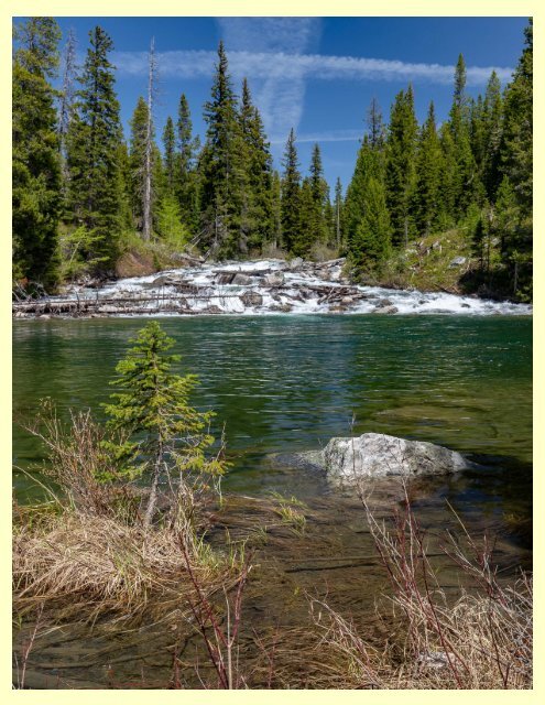 Yellowstone And Grand Teton National Parks