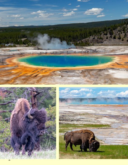 Yellowstone And Grand Teton National Parks