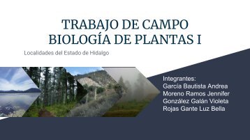 plantas-campo1