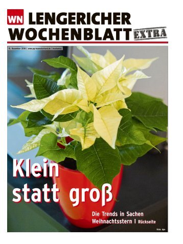 lengericherwochenblatt-lengerich_15-12-2018