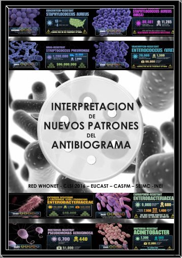interpretacion de nuevos patrones del antibiograma