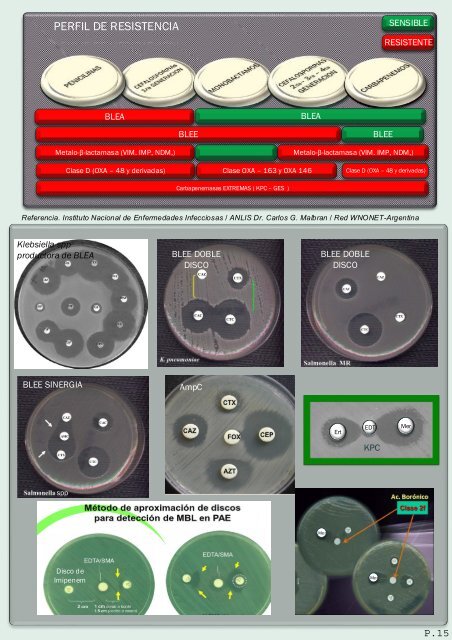 interpretacion de nuevos patrones del antibiograma