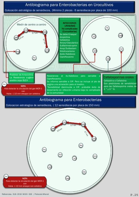 interpretacion de nuevos patrones del antibiograma