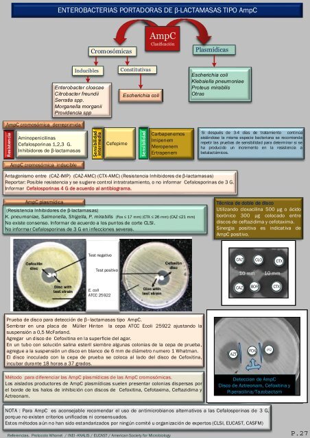 interpretacion de nuevos patrones del antibiograma