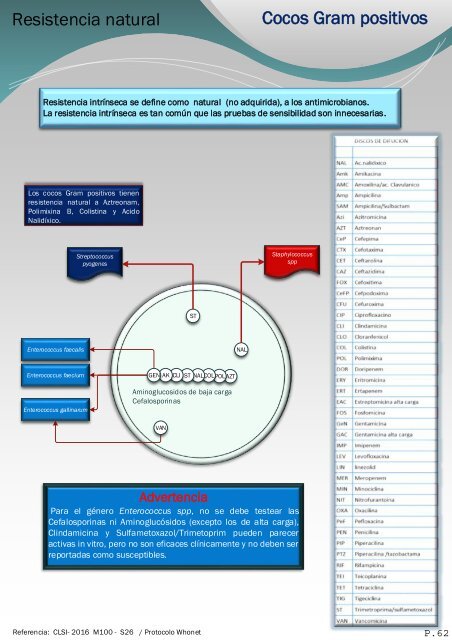 interpretacion de nuevos patrones del antibiograma